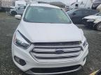 2019 FORD ESCAPE SE for sale at Copart NS - HALIFAX