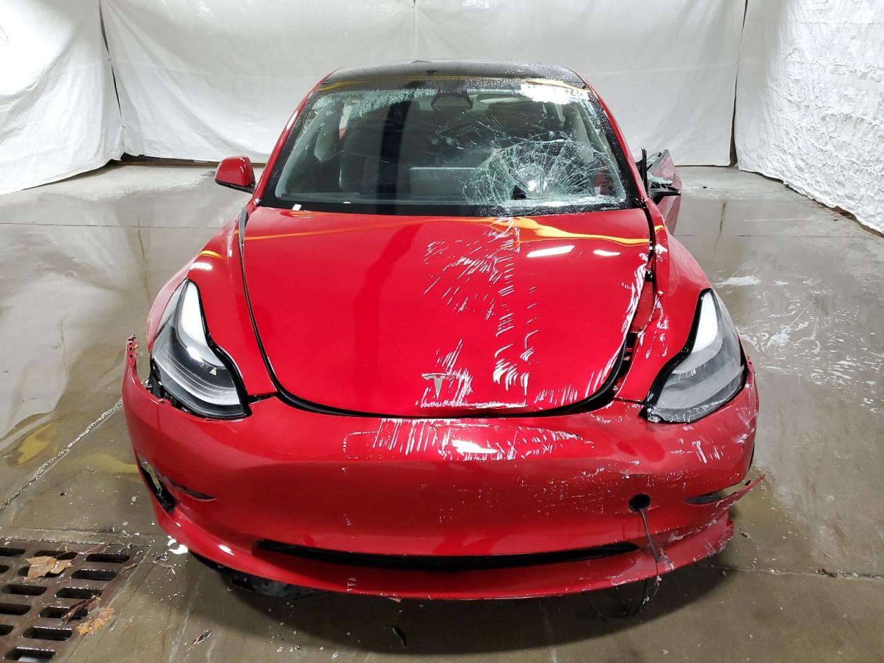 VIN 5YJ3E1EA1PF434557 2023 TESLA MODEL 3 no.5