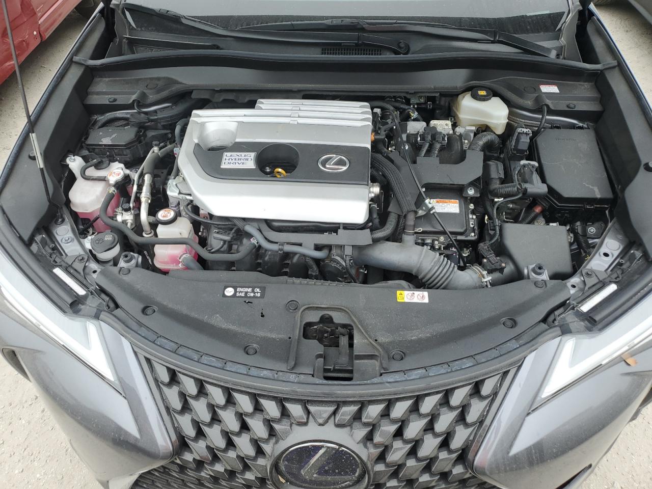2020 Lexus UX - Image 11