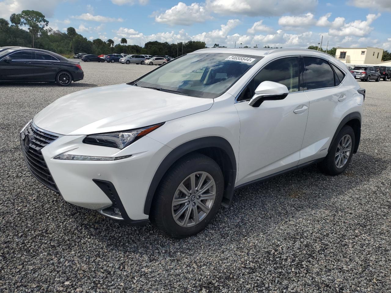 2021 Lexus NX - Image 1