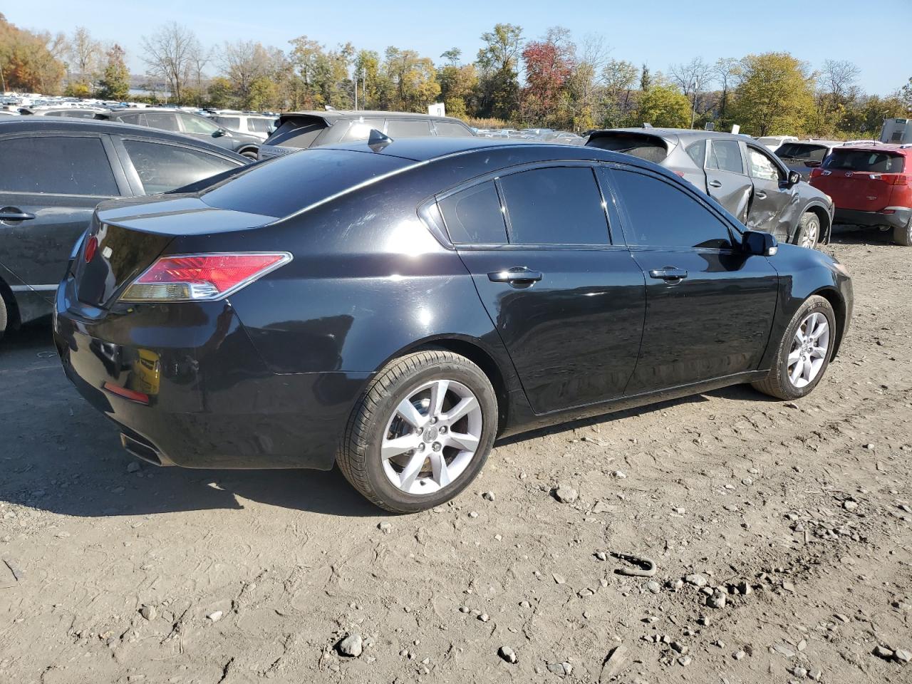 VIN 19UUA8F26DA015013 2013 ACURA TL no.3