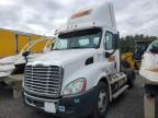 Marlboro, NY에서 판매 중인 2014 Freightliner Cascadia 113 - Normal Wear