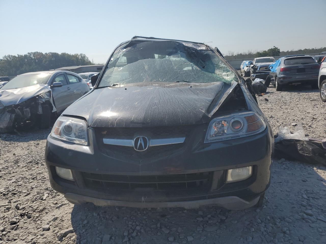 2004 Acura Mdx Touring VIN: 2HNYD18864H554212 Lot: 75222934