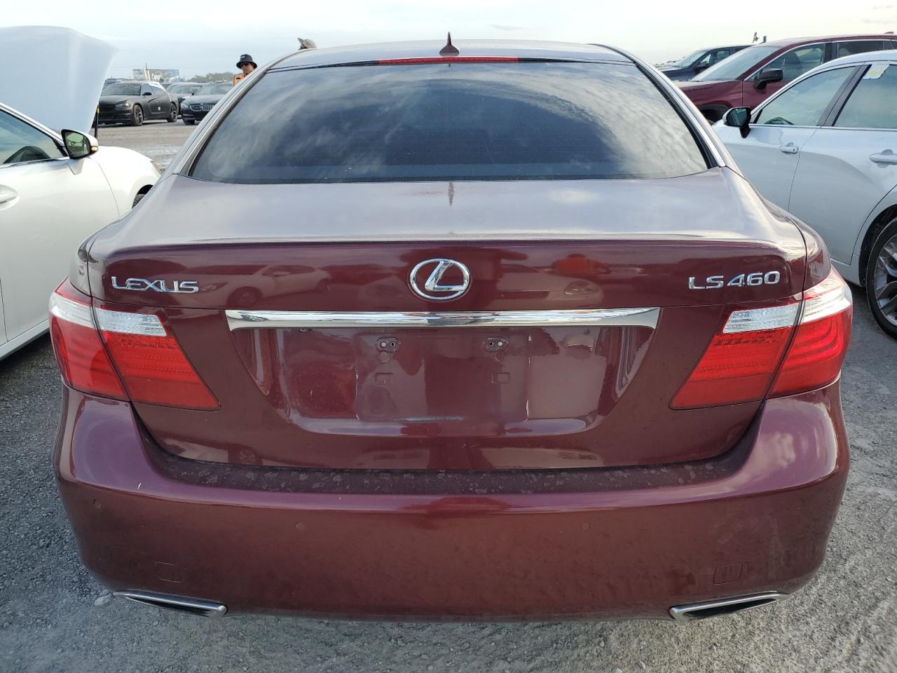 2009 Lexus Ls 460 VIN: JTHBL46F295089619 Lot: 76502524