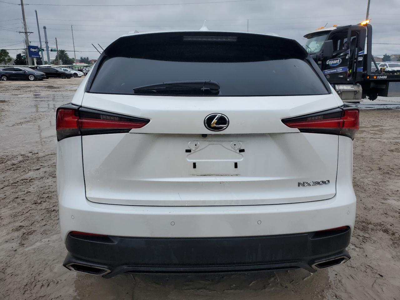 JTJDARDZ0L5003268 2020 Lexus Nx 300