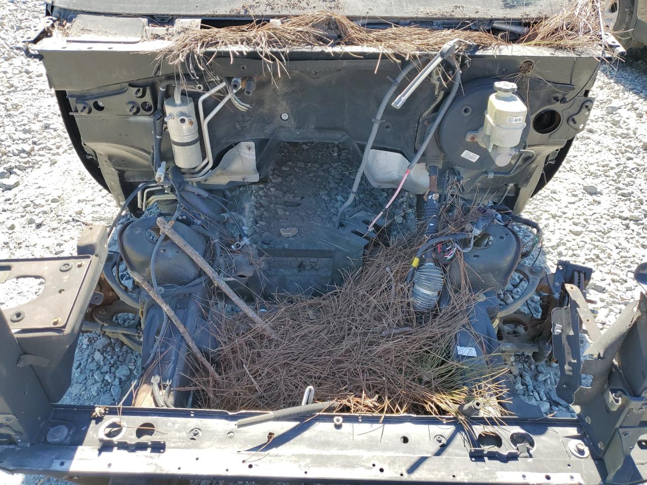 2013 Cadillac Escalade Luxury VIN: 1GYS3BEF1DR154172 Lot: 79885794