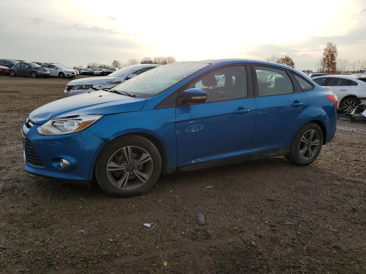 2014 FORD FOCUS