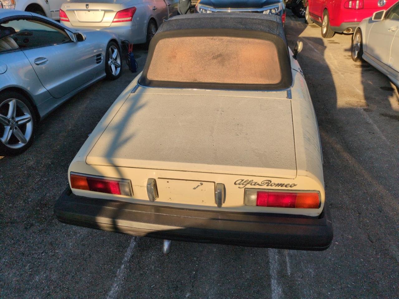 1982 Alfa Romeo Giulia - Image 6