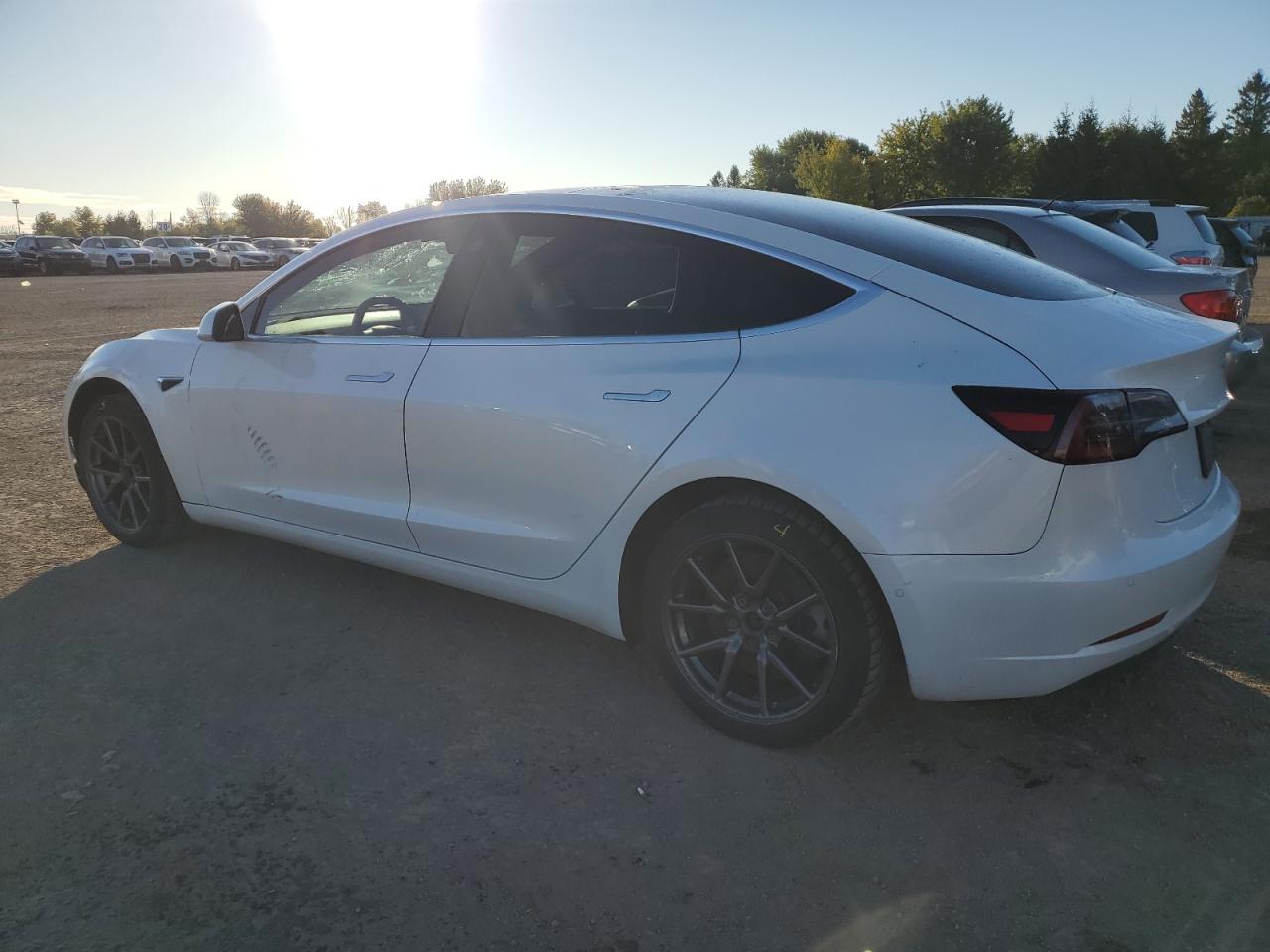 5YJ3E1EA9LF625475 2020 TESLA MODEL 3 - Image 2