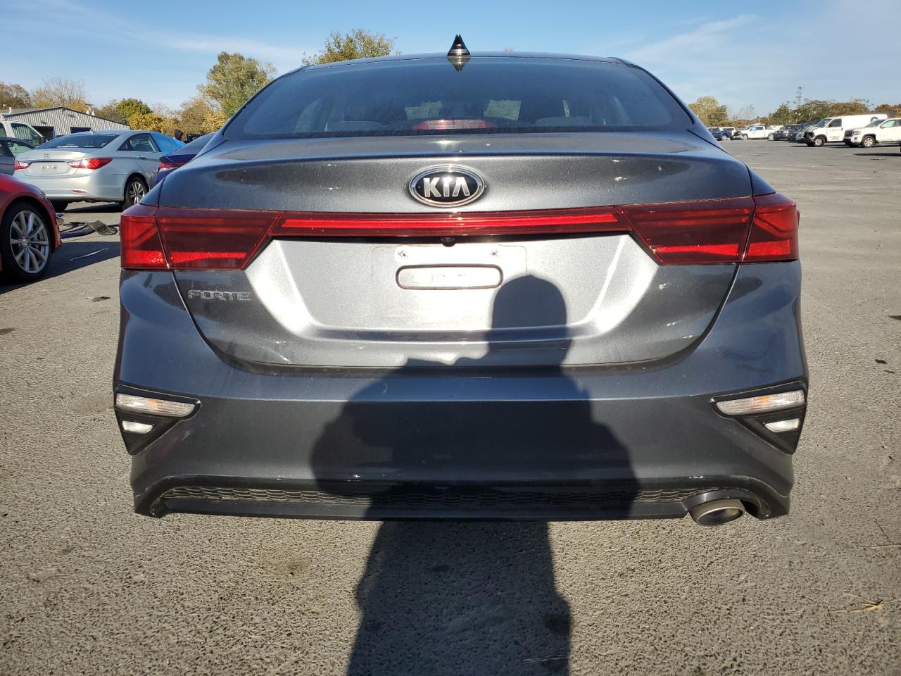 2020 Kia Forte Fe VIN: 3KPF24AD9LE230614 Lot: 75318994