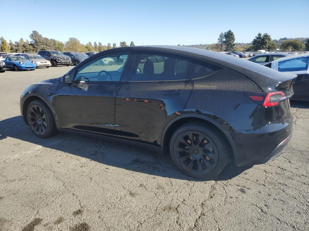 VIN 5YJYGDEE6MF141429 2021 TESLA MODEL Y no.2