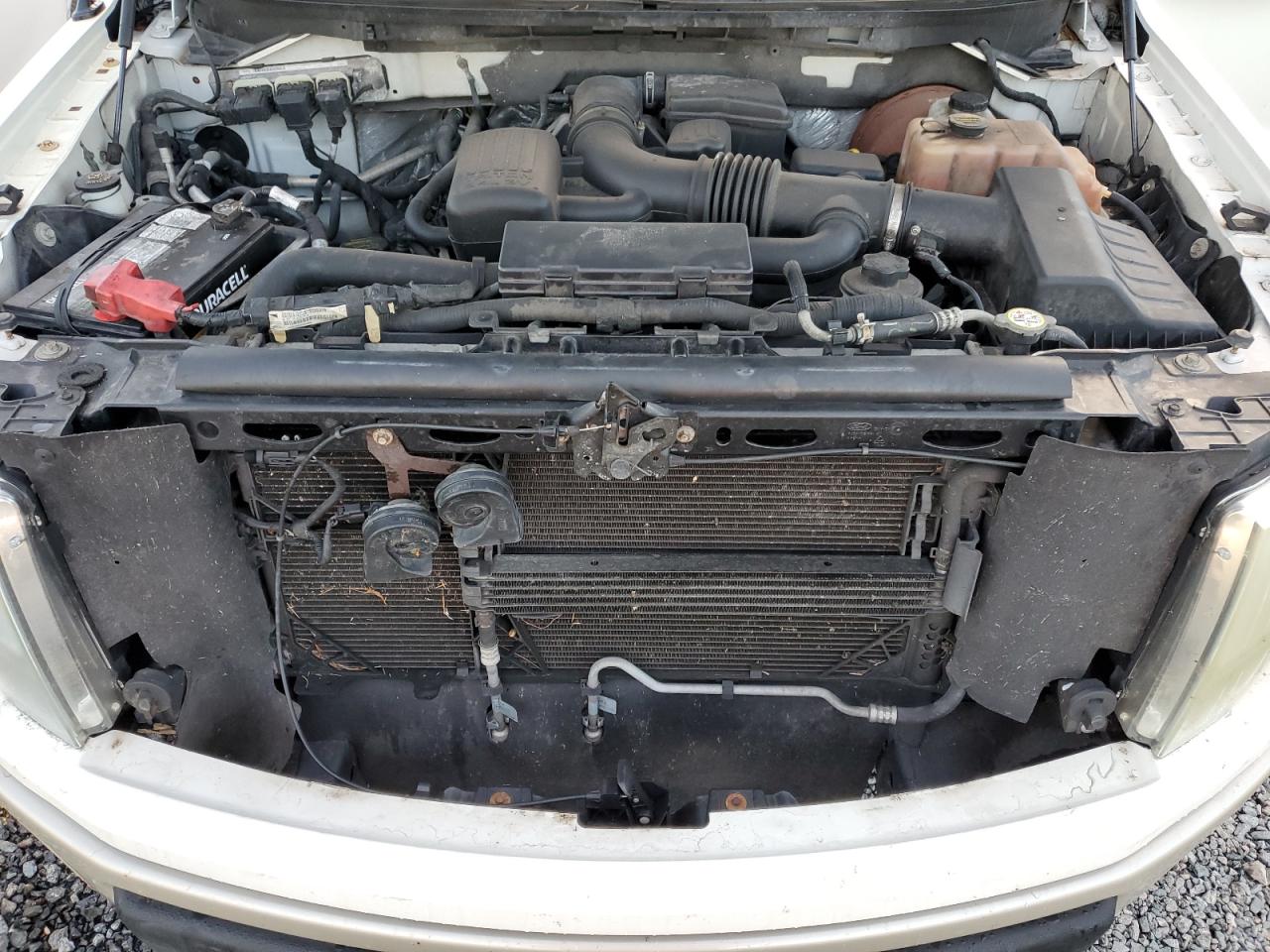 1FTPW14V69KC74555 2009 Ford F150 Supercrew