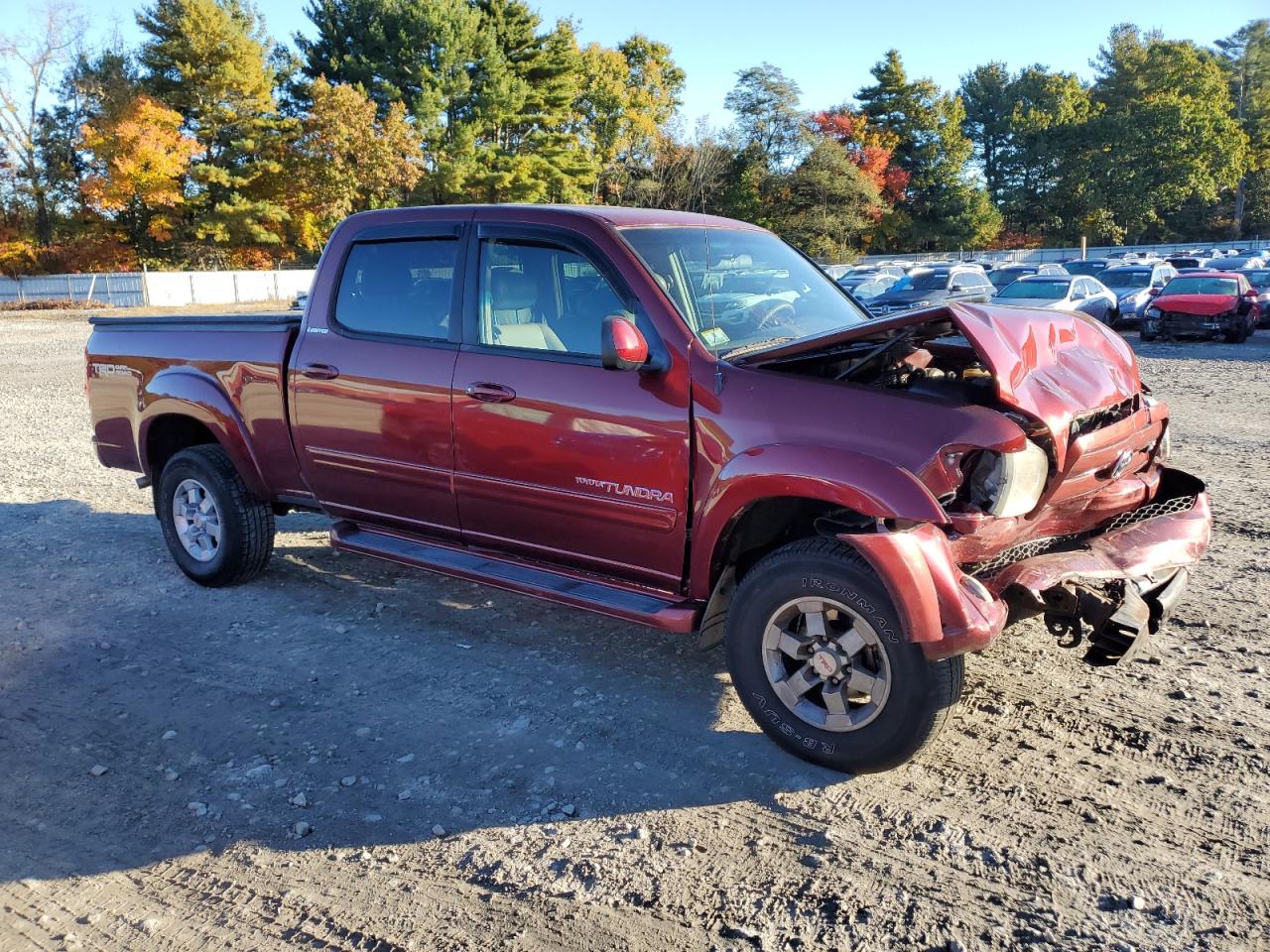 2004 Toyota Tundra Double Cab Limited VIN: 5TBDT48104S434542 Lot: 76390904