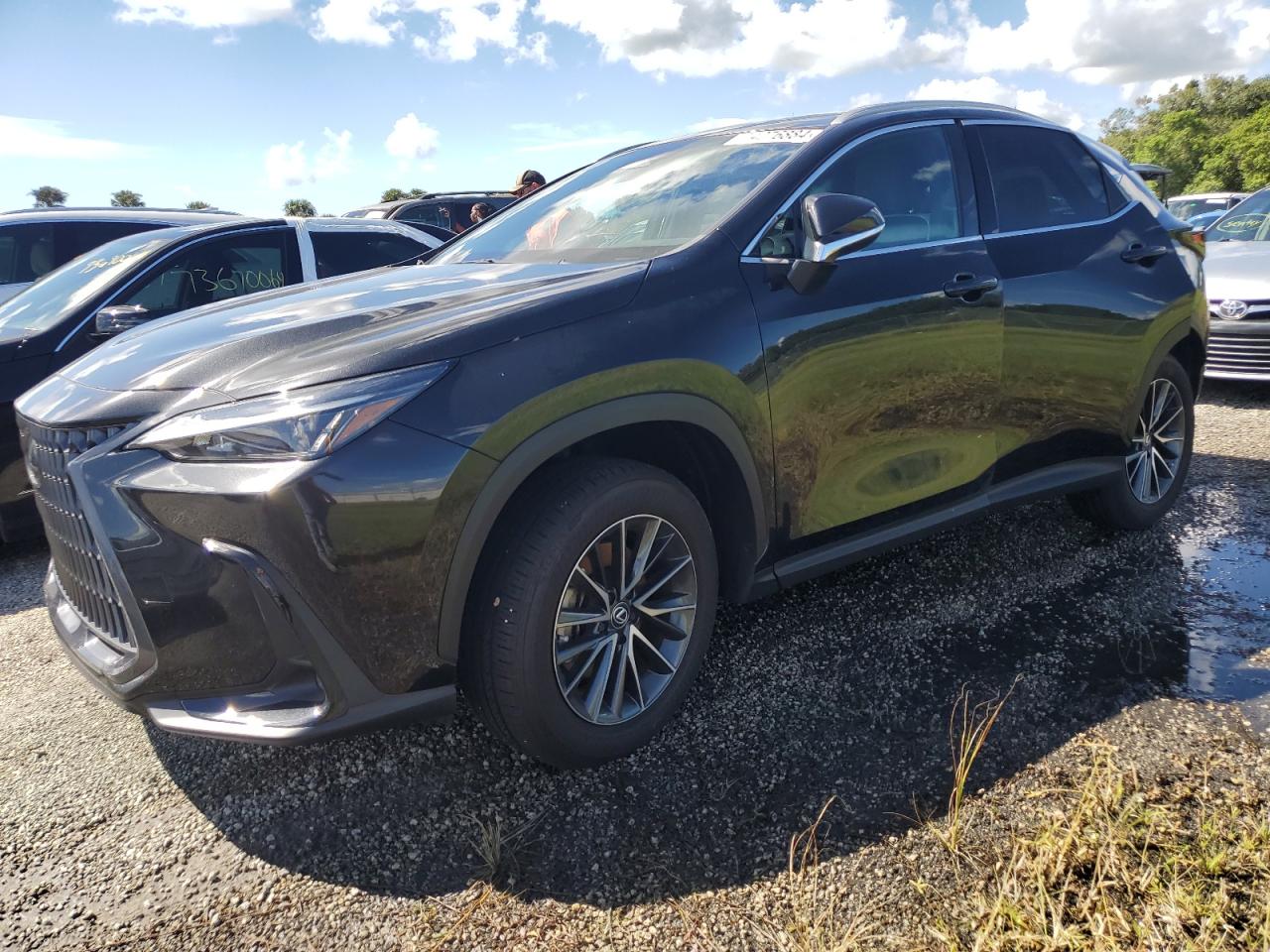 2T2ADCAZ4RC010732 2024 LEXUS NX - Image 1