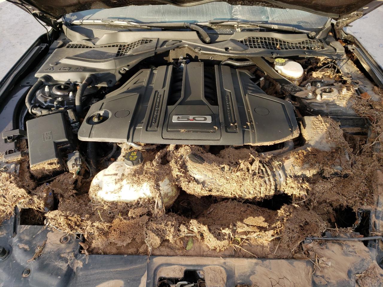 2022 Ford Mustang - Image 11