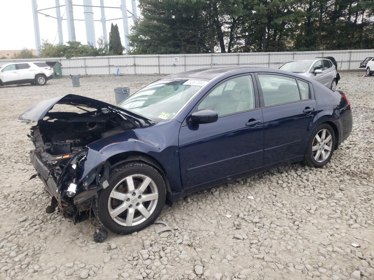 2005 Nissan Maxima Se VIN: 1N4BA41E15C869631 Lot: 74067494