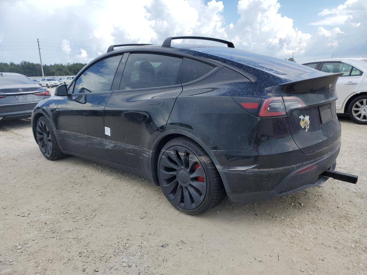 2022 Tesla Model Y VIN: 7SAYGDEFXNF375487 Lot: 74172434