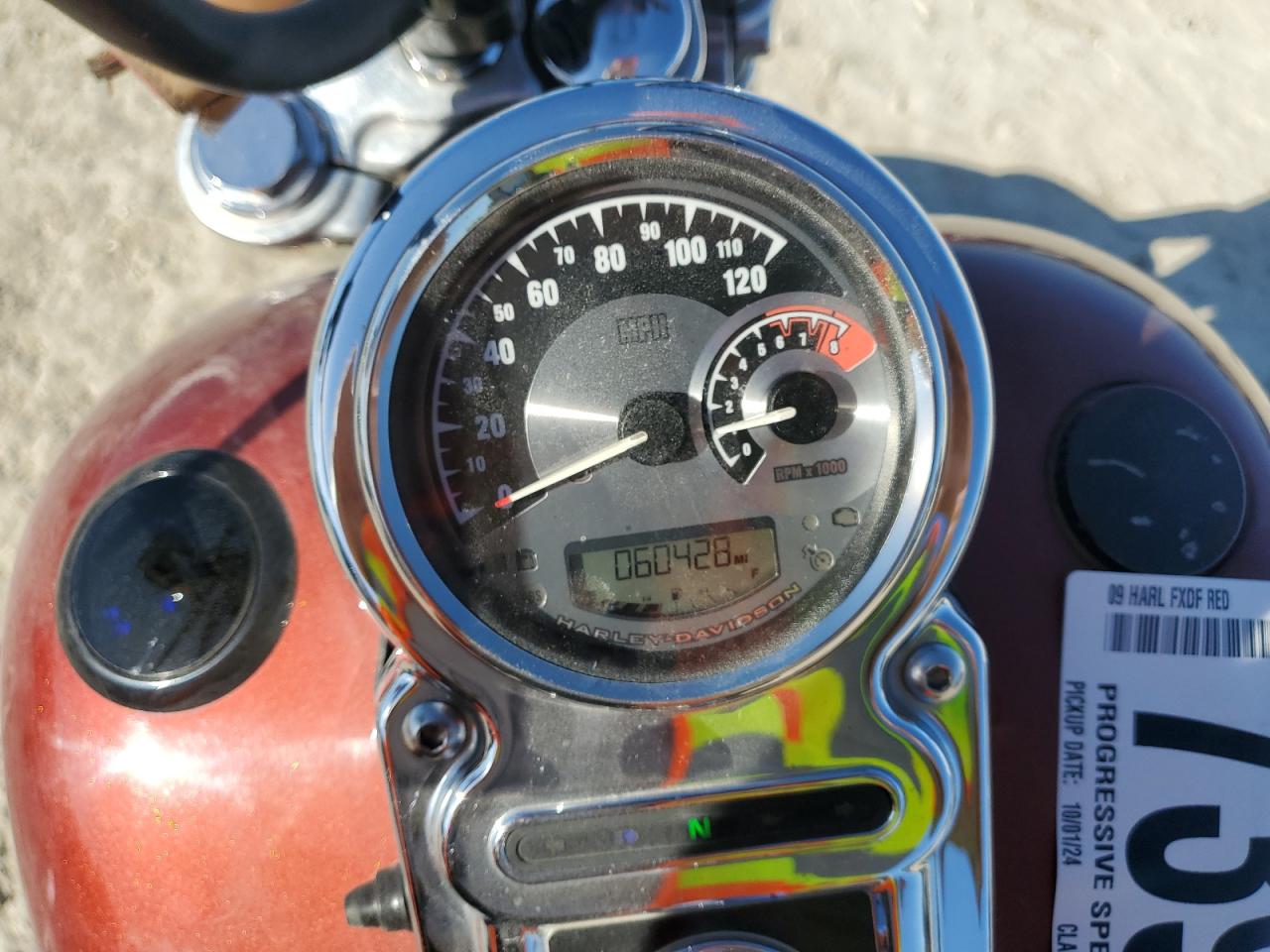 2009 Harley-Davidson Fxdf VIN: 1HD1GY4149K306748 Lot: 73981384