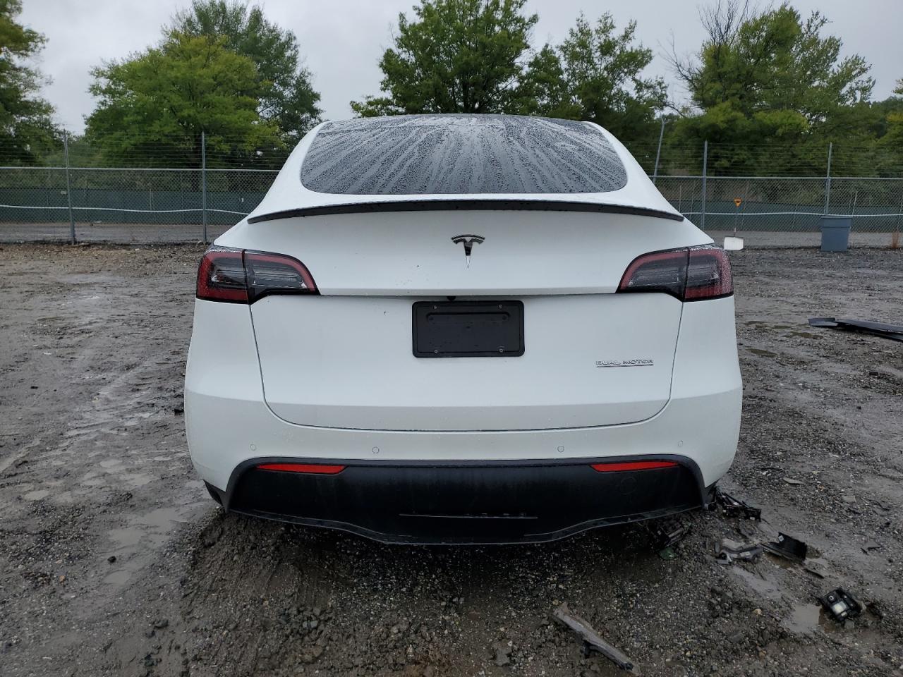 2022 Tesla Model Y VIN: 7SAYGDEF9NF523483 Lot: 73746934