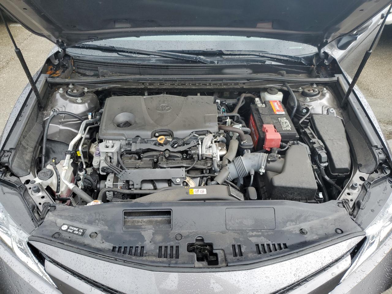 4T1B11HK7KU781026 2019 Toyota Camry L