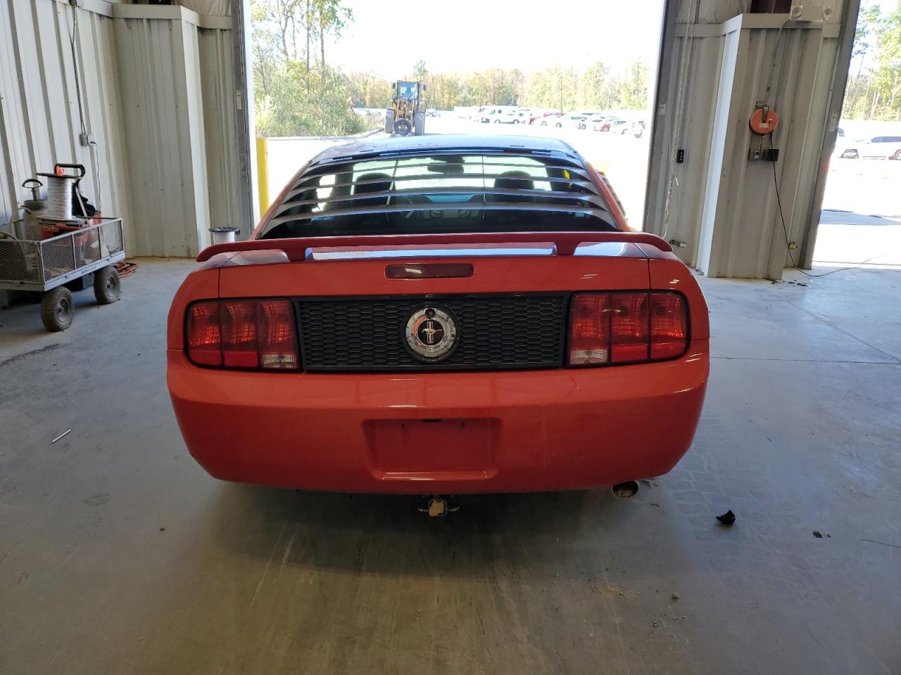 2006 Ford Mustang VIN: 1ZVFT80N365215523 Lot: 74809024