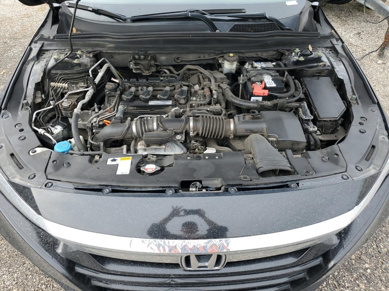 1HGCV1F17JA066563 2018 Honda Accord Lx