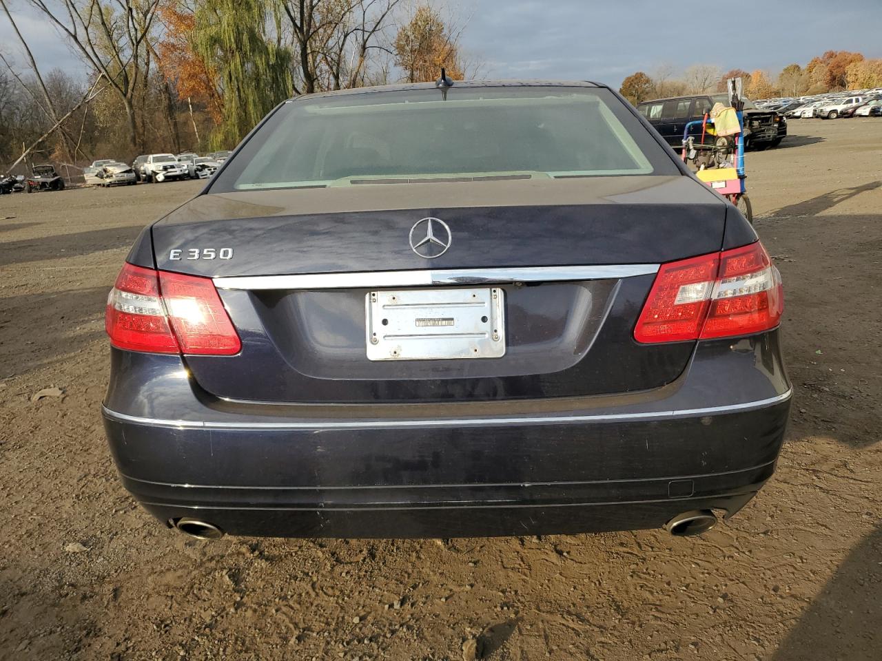 2010 Mercedes-Benz E 350 VIN: WDDHF5GB9AA098940 Lot: 77842814