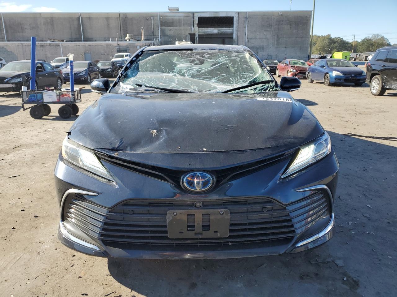 4T1F31AK0MU565138 2021 Toyota Camry Xle