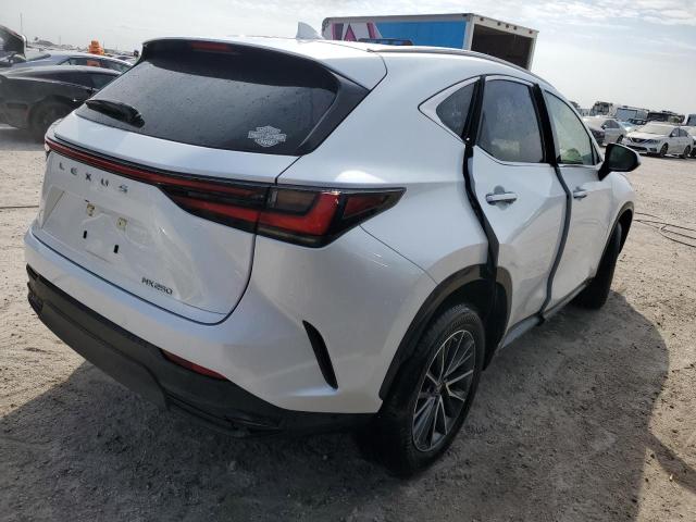 JTJADCAZ1N5001141 Lexus NX 250  3