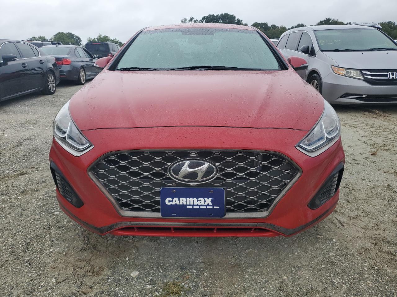 2019 Hyundai Sonata - Image 5