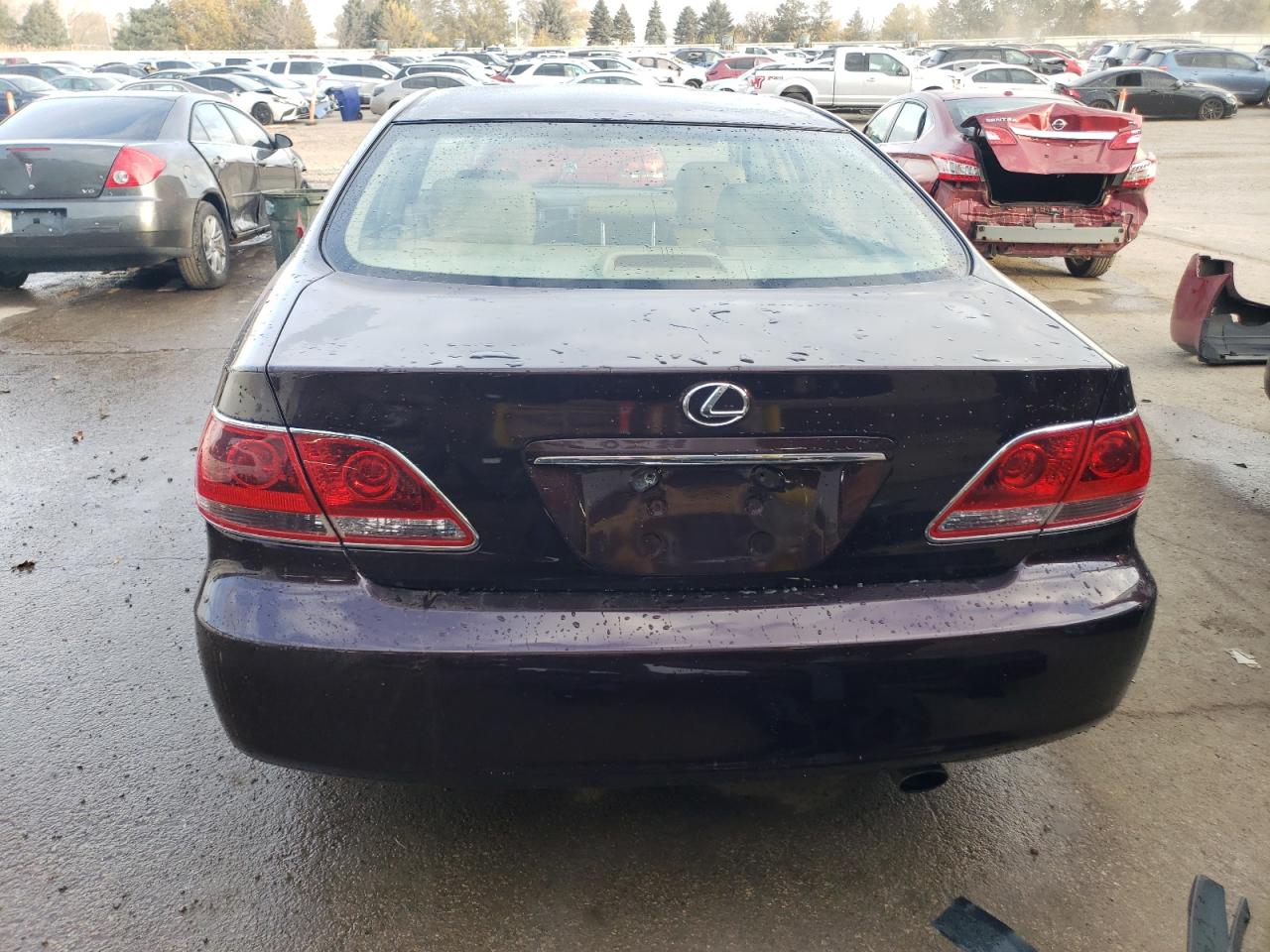 2005 Lexus Es 330 VIN: JTHBA30GX55065483 Lot: 78176754