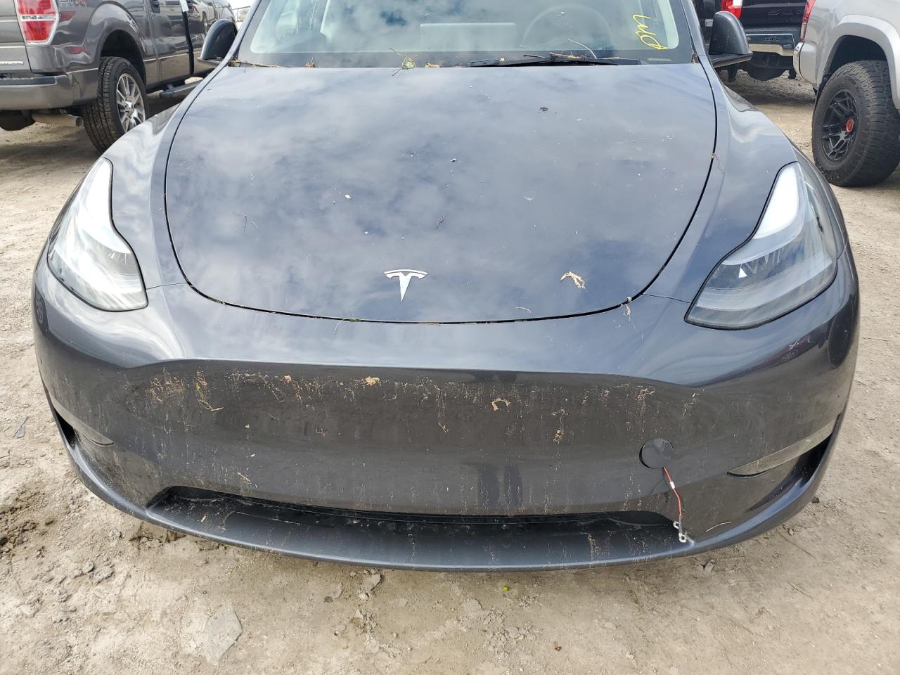 7SAYGDEE2PA202344 2023 Tesla Model Y