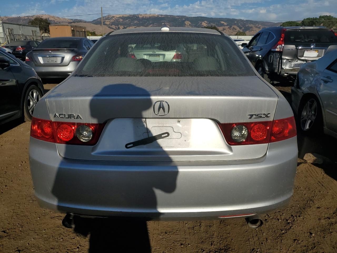 2006 Acura Tsx VIN: JH4CL96976C019018 Lot: 77913054