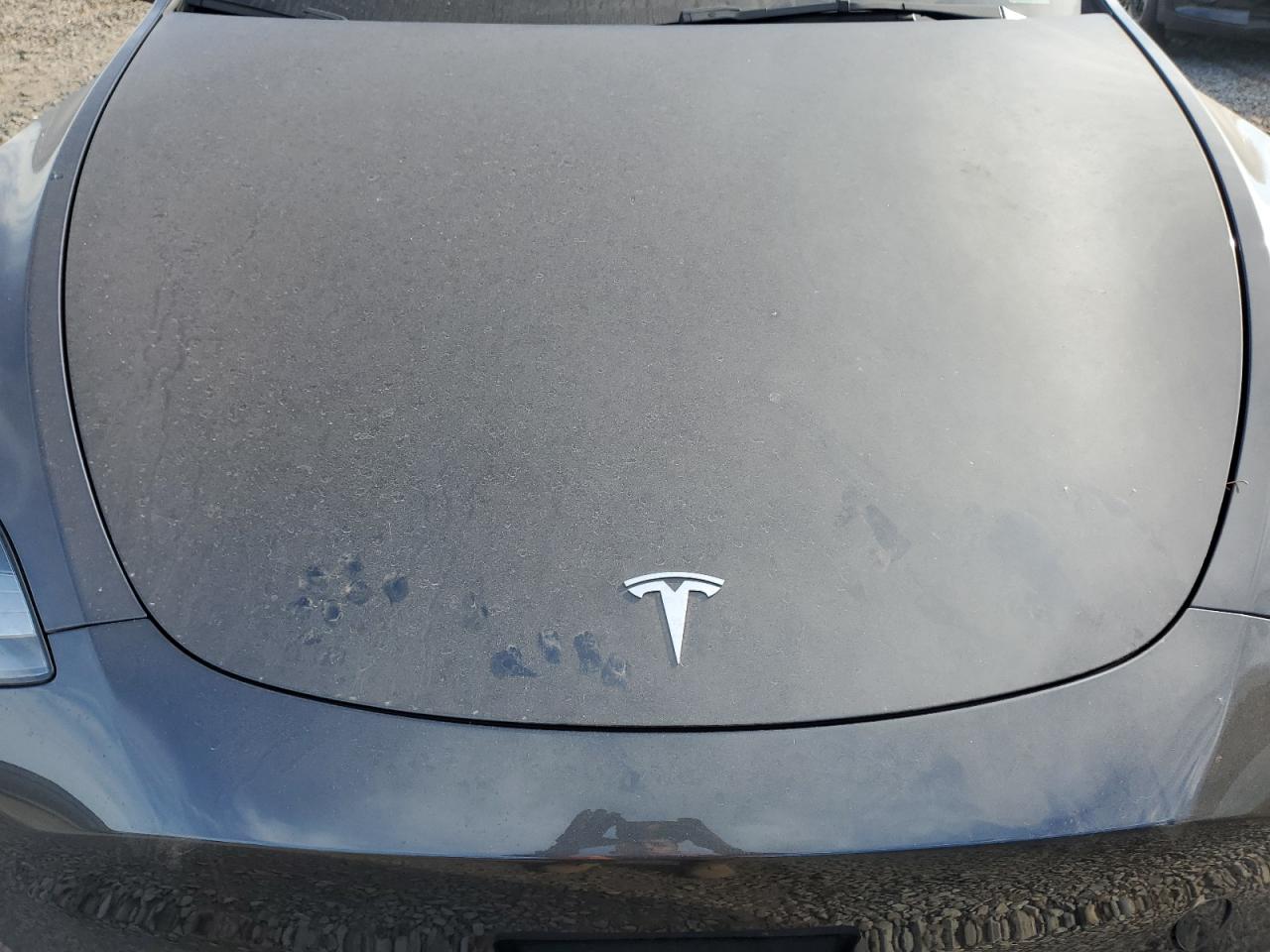 7SAYGDED6RF004718 2024 Tesla Model Y