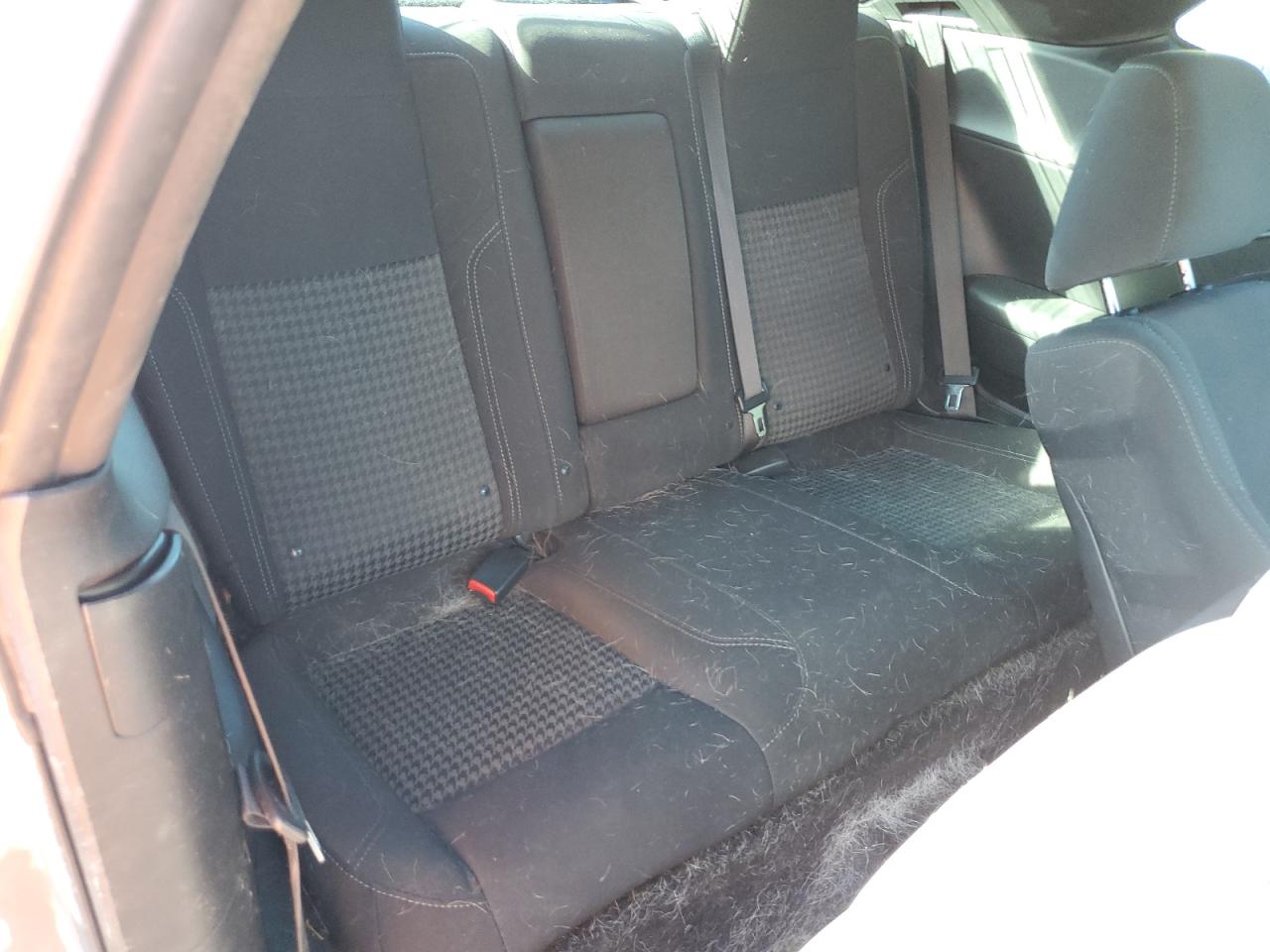 2019 Dodge Challenger Sxt VIN: 2C3CDZAG1KH565541 Lot: 77247064