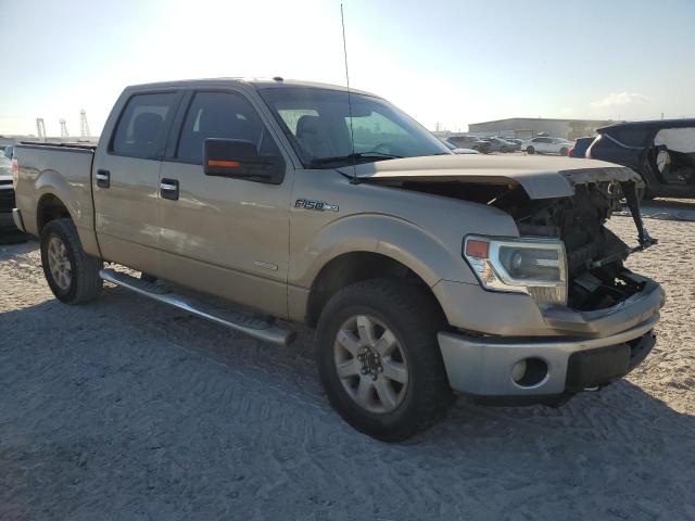  FORD F-150 2014 Золотий