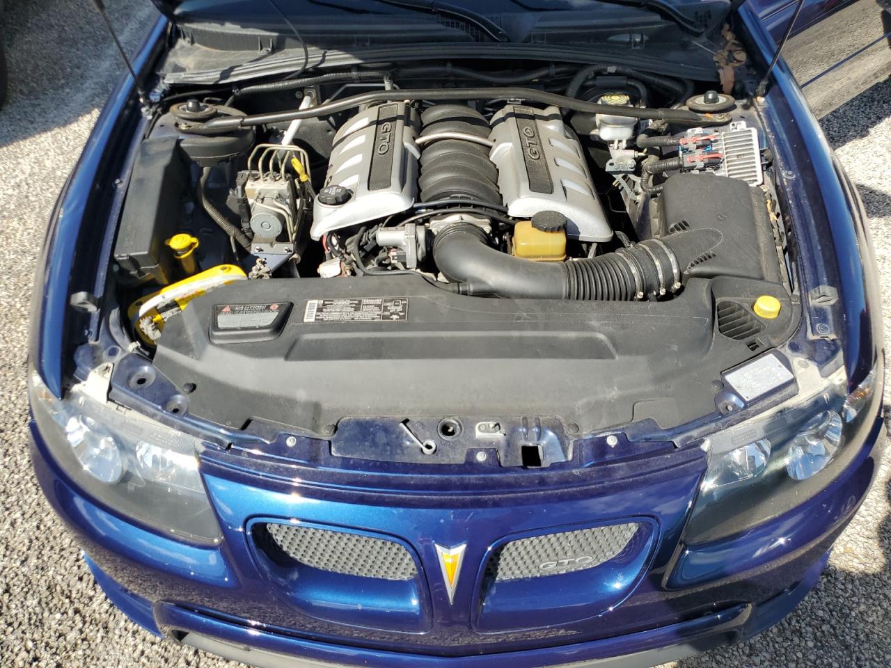 6G2VX12U15L381992 2005 Pontiac Gto