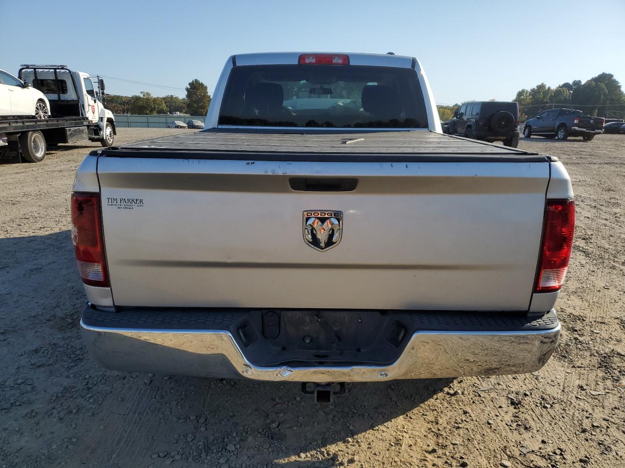 2010 Dodge Ram 1500 VIN: 1D7RB1GK9AS246183 Lot: 77095254