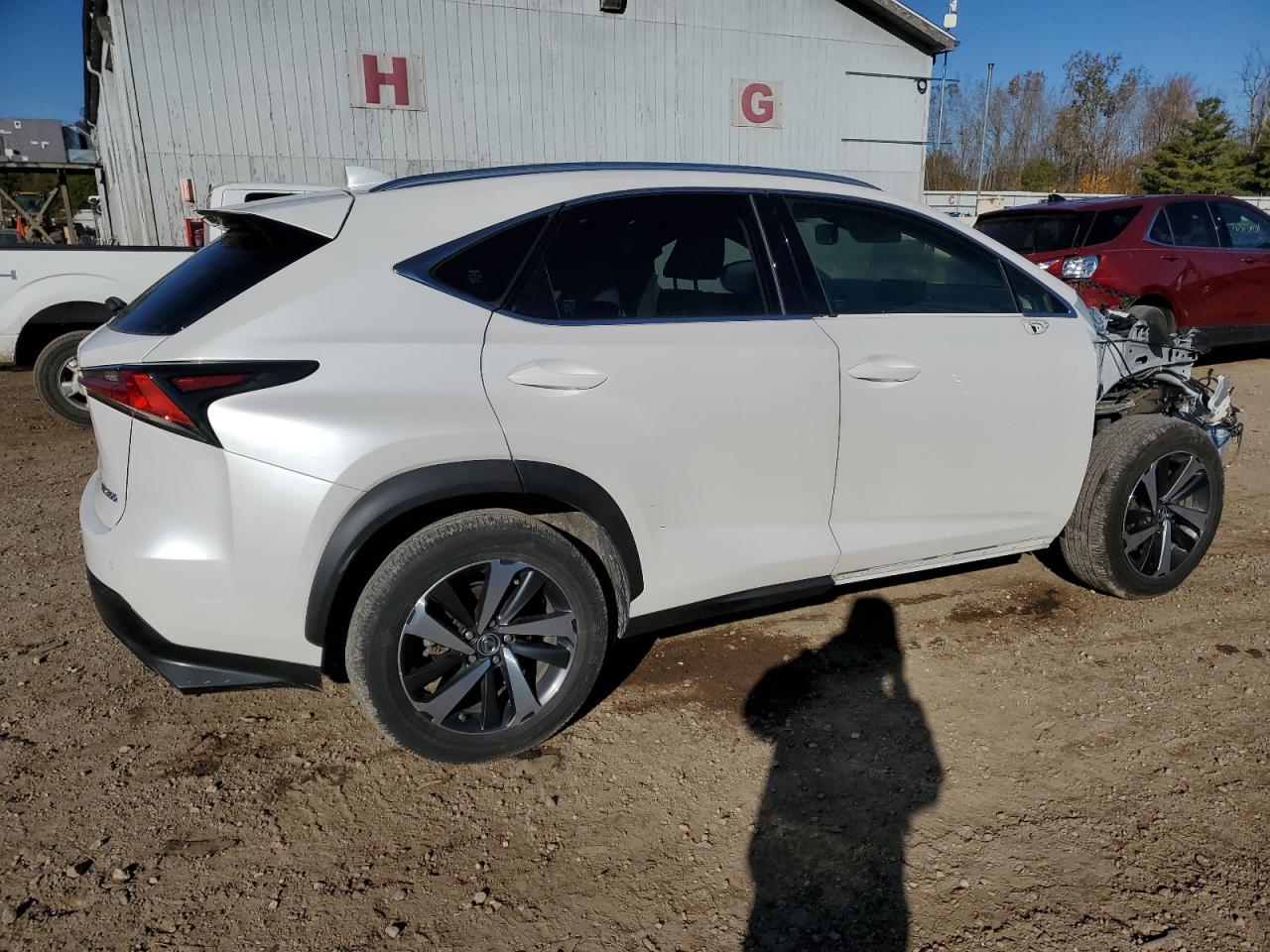 2020 Lexus Nx 300 VIN: JTJGARDZ5L2219776 Lot: 75878684