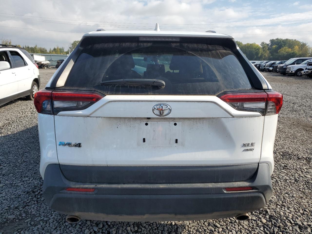 2020 Toyota Rav4 Xle VIN: 2T3P1RFV3LW094698 Lot: 76802364