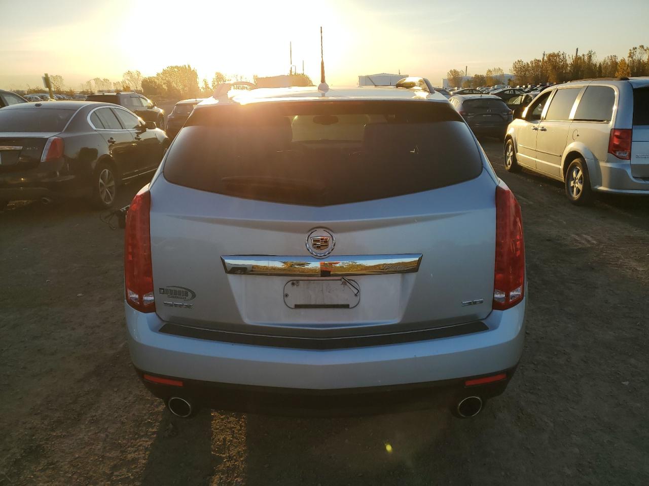 2014 Cadillac Srx VIN: 3GYFNAE36ES626246 Lot: 74702174