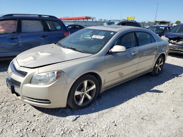 2011 Chevrolet Malibu 1Lt