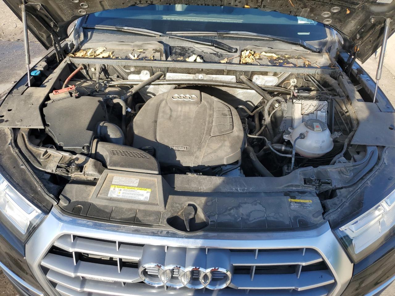 2019 Audi Q5 - Image 12