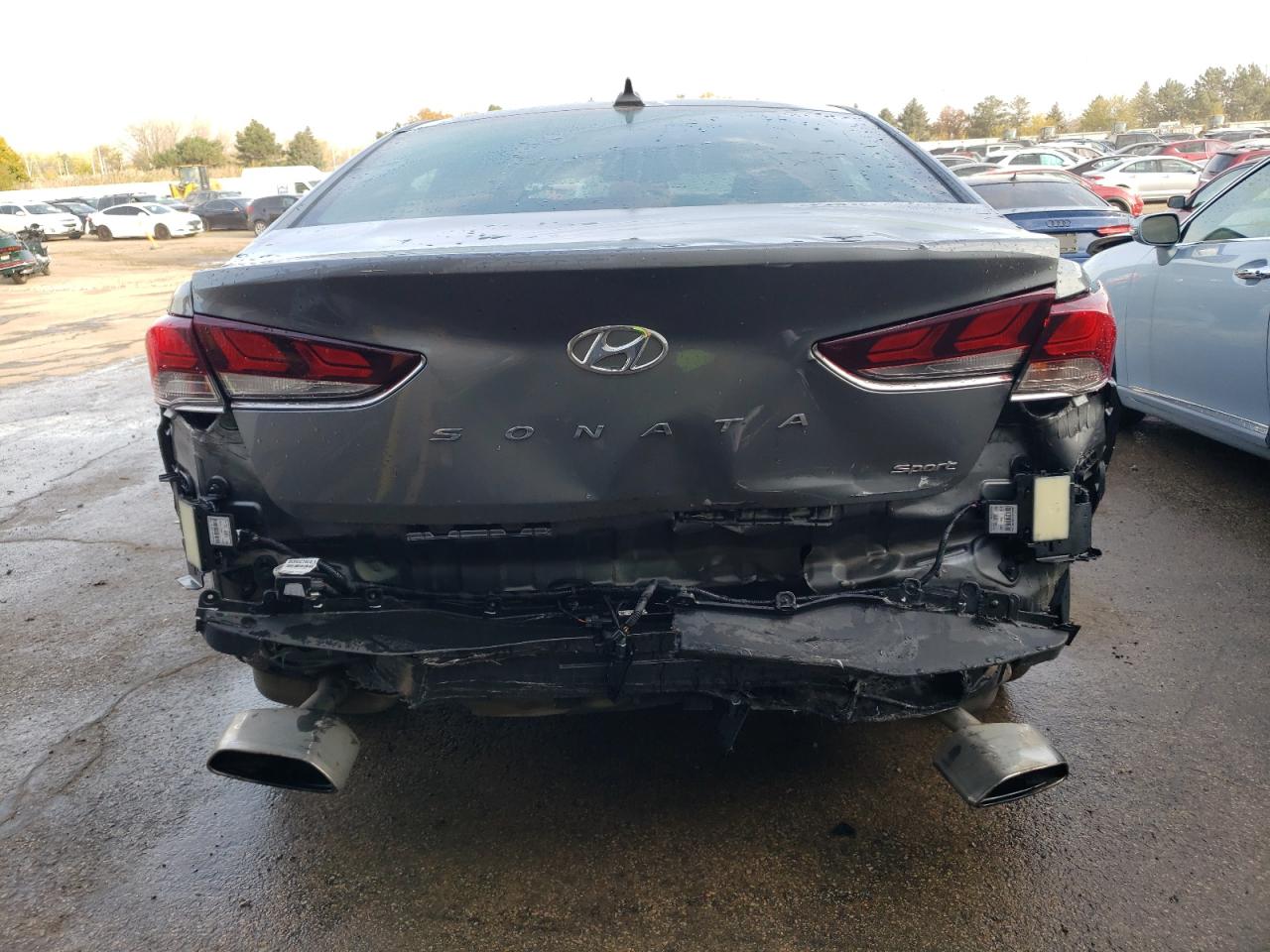 2019 Hyundai Sonata Limited VIN: 5NPE34AF0KH809138 Lot: 77689194