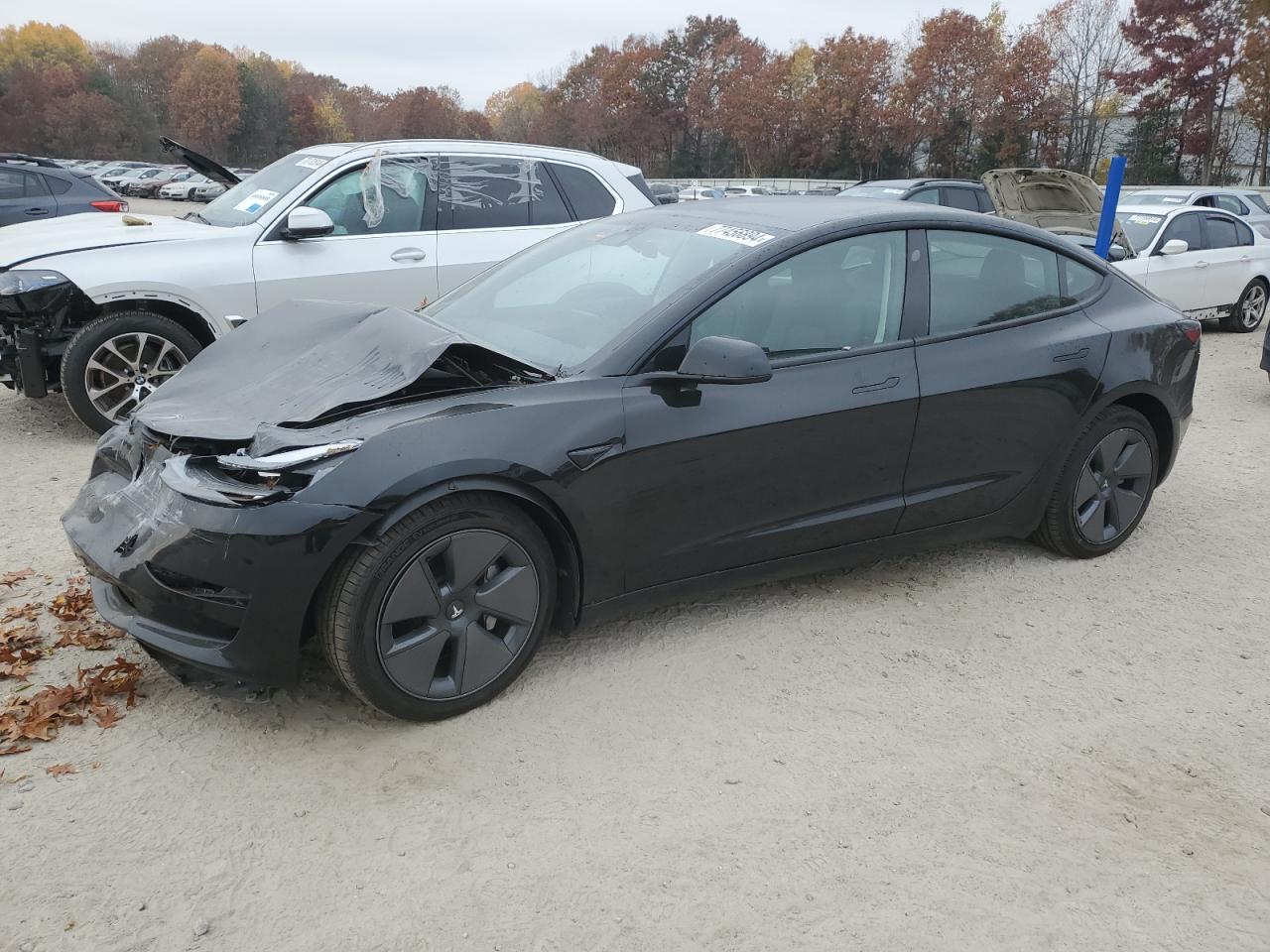 VIN 5YJ3E1EA5PF564518 2023 TESLA MODEL 3 no.1