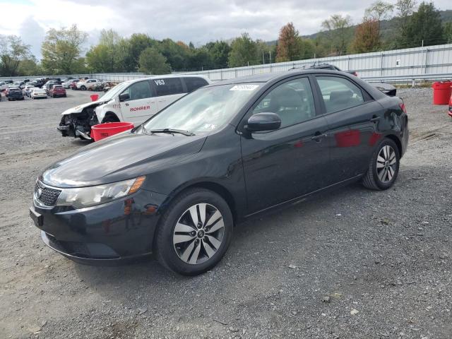  KIA FORTE 2013 Black