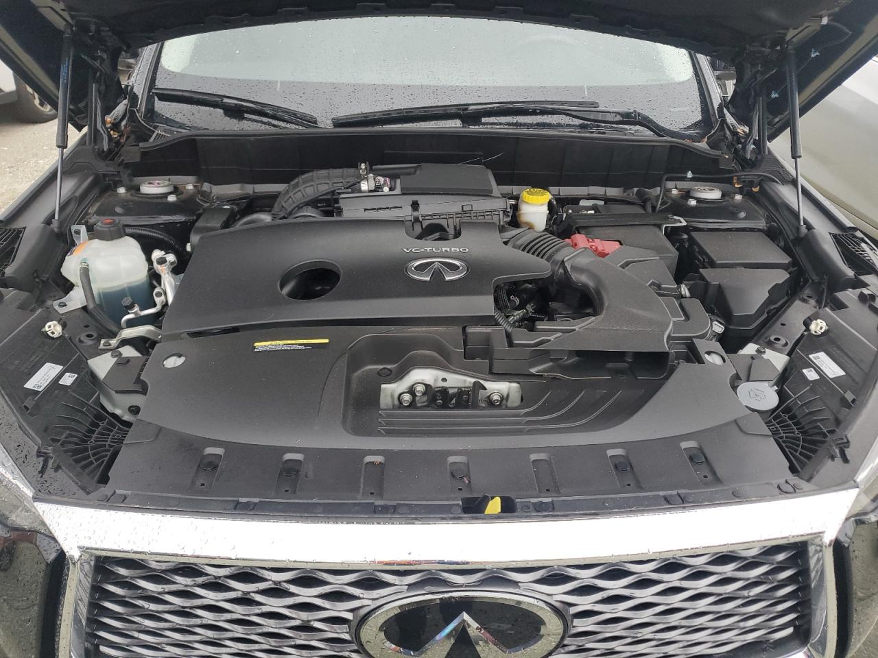 3PCAJ5BAXPF115740 2023 Infiniti Qx50 Luxe