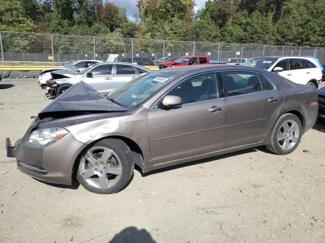  CHEVROLET MALIBU 2012 Цвет загара