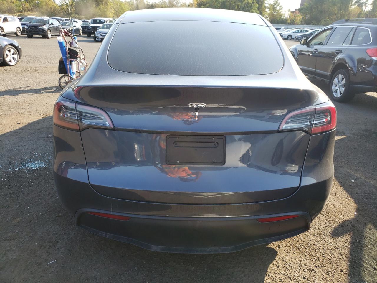 2023 Tesla Model Y VIN: 7SAYGDED3PF934847 Lot: 74126834