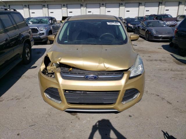  FORD ESCAPE 2014 Gold